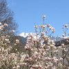 Mariazell_Weng_Admont_Ennstal_031